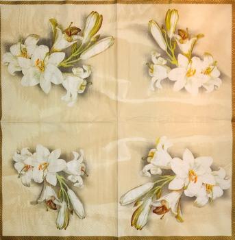 042 Lilies - 3 ply (cream)